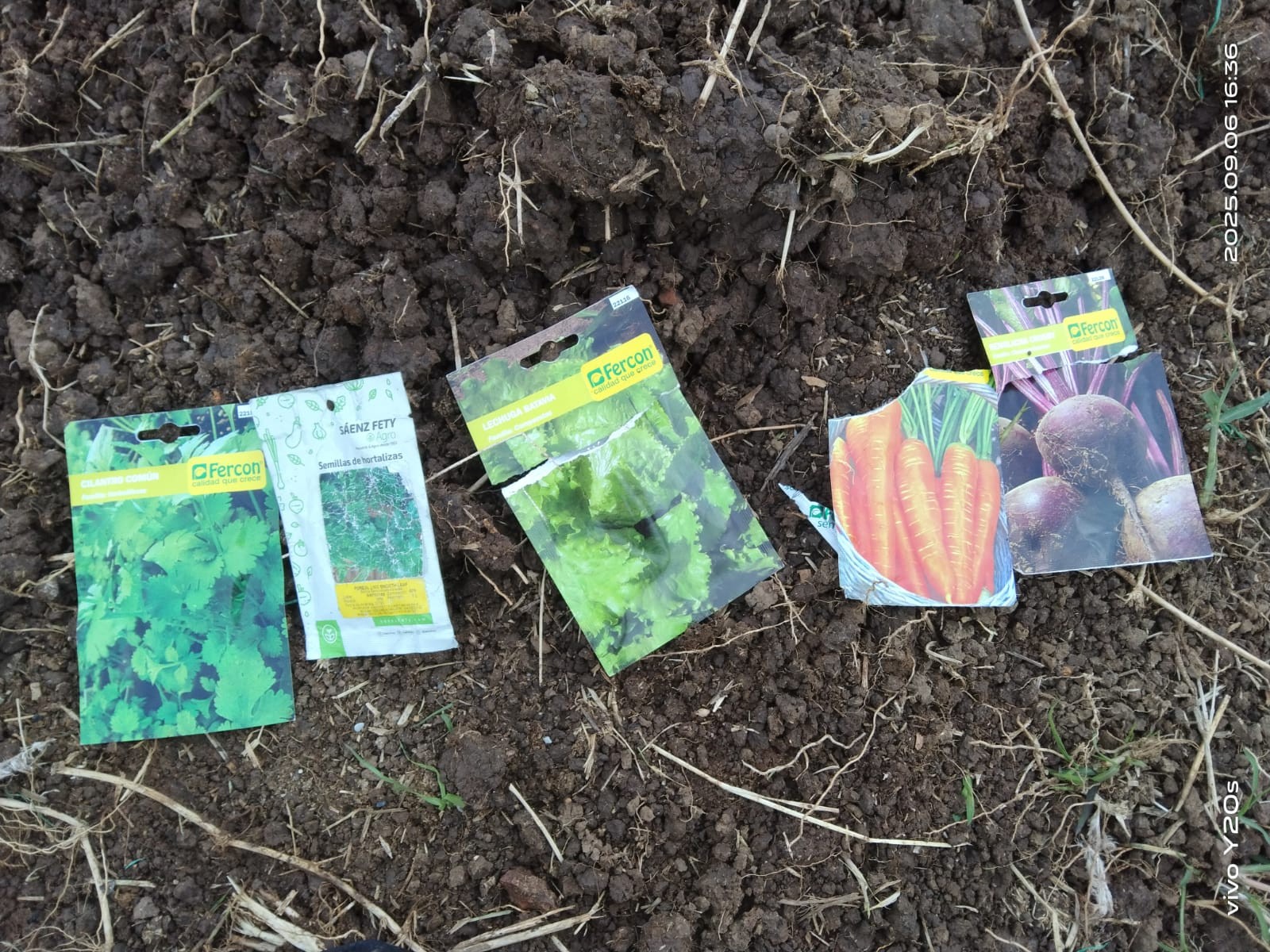 Hortalizas Orgánicas